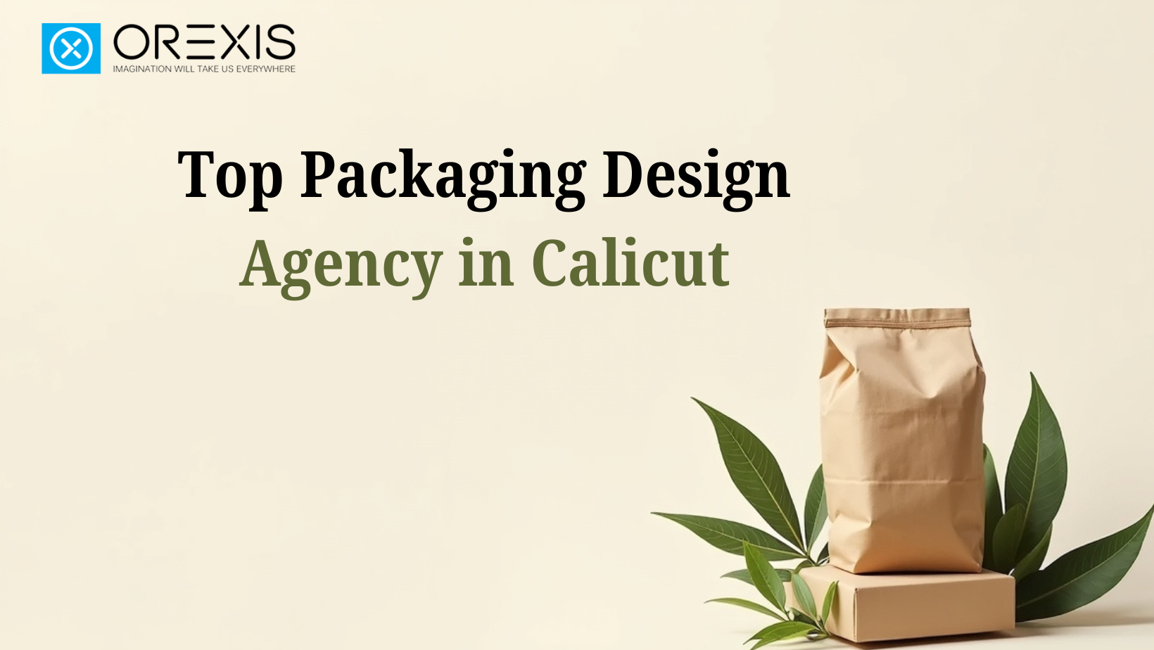 Top Packaging Design Agency in Calicut