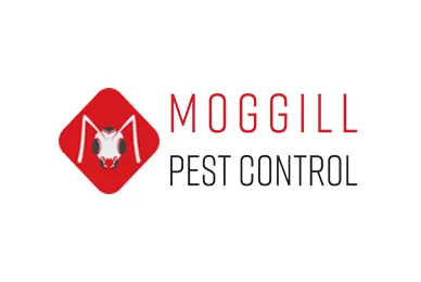 Moggill pest control